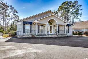 1005 Sand Dollar Ct, North Myrtle Beach, SC 29582 - Photo 29