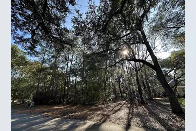 Lot 173 Sanderling Ave., Georgetown, SC 29440 - Photo 3