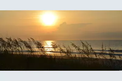 29 Crooked Island Circle, Murrells Inlet, SC 29576 - Photo 35