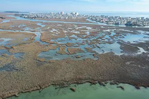 4504 Mallard St, North Myrtle Beach, SC 29582 - Photo 3