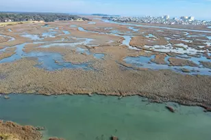 4504 Mallard St, North Myrtle Beach, SC 29582 - Photo 25