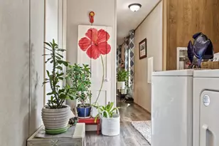 4504 Mallard St, North Myrtle Beach, SC 29582 - Photo 19