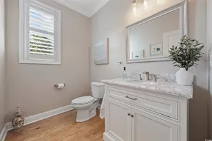 147 Hyacinth Loop, Murrells Inlet, SC 29576 - Photo 19