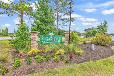 330 High Falls Dr., Conway, SC 29526 - Photo 33