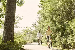 9681 Indigo Creek Rd, Murrells Inlet, SC 29576 - Photo 27