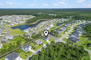 225 Astoria Park Loop, Conway, SC 29526 - Photo 3