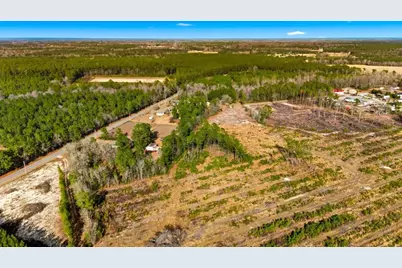 Acreage Highway 45, Loris, SC 29569 - Photo 5