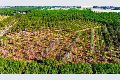 Acreage Highway 45, Loris, SC 29569 - Photo 11