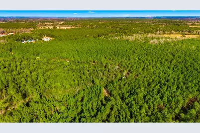 Acreage Highway 45, Loris, SC 29569 - Photo 15