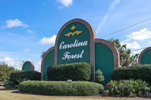 452 W Perry Rd, Myrtle Beach, SC 29579 - Photo 25