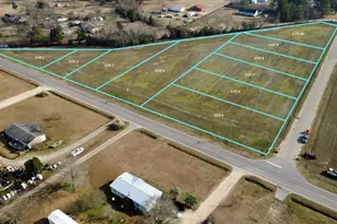 Lot 4 Hwy 301, Hamer, SC 29547 - Photo 1