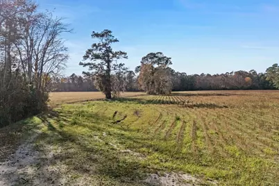 Tbd S Little Lamb Rd., Conway, SC 29527 - Photo 13