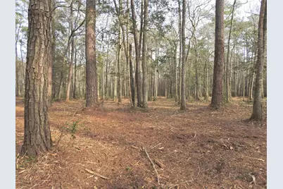 Tbd Bella Rd., Myrtle Beach, SC 29588 - Photo 7