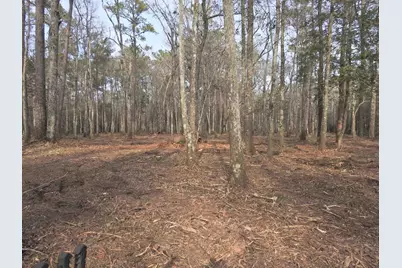Tbd Bella Rd., Myrtle Beach, SC 29588 - Photo 3