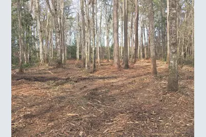 Tbd Bella Rd., Myrtle Beach, SC 29588 - Photo 17