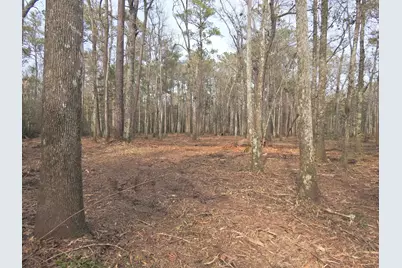 Tbd Bella Rd., Myrtle Beach, SC 29588 - Photo 5