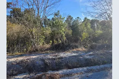 Tbd 2 Auburn Rd., Loris, SC 29569 - Photo 5