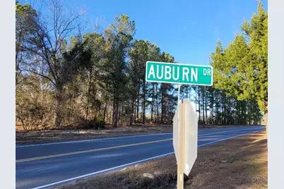 Tbd Log Cabin Rd., Loris, SC 29569 - Photo 1