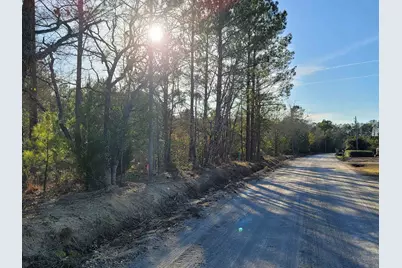 Tbd Log Cabin Rd., Loris, SC 29569 - Photo 3