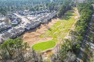 21 Pistachio Loop, Murrells Inlet, SC 29576 - Photo 27