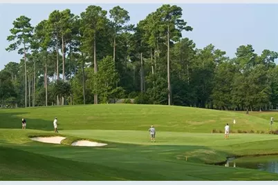 3035 Gadwall Dr., Aynor, SC 29511 - Photo 31