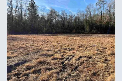 4335 Watermill Rd., Mullins, SC 29574 - Photo 3