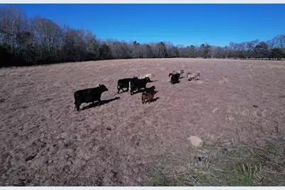 10686 Scott Ave, Manning, SC 29102 - Photo 17