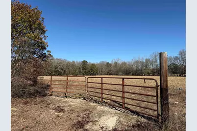 10686 Scott Ave, Manning, SC 29102 - Photo 1