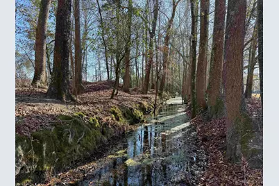 10686 Scott Ave, Manning, SC 29102 - Photo 3