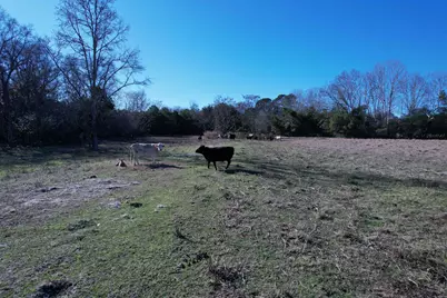 10686 Scott Ave, Manning, SC 29102 - Photo 15