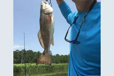 Slip 40 Friendfield Marina, Georgetown, SC 29440 - Photo 23