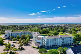 14290 Ocean Hwy, Pawleys Island, SC 29585 - Photo 29