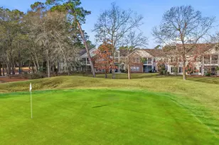 10 Loganberry Ct, Murrells Inlet, SC 29576 - Photo 27