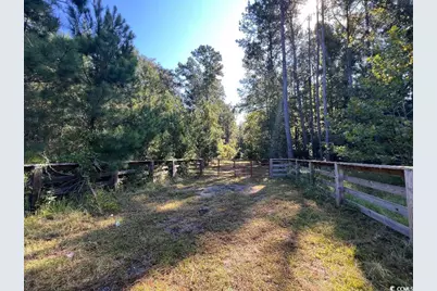 Tbd Highway 701 South, Georgetown, SC 29440 - Photo 3