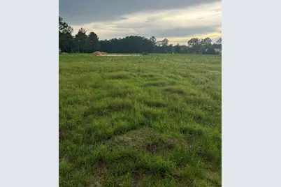 Tbd Lexyryan Ct., Latta, SC 29565 - Photo 1