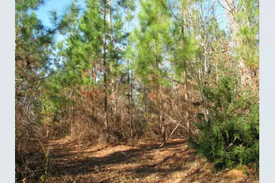 0 Buckhead Rd., Blair, SC 29015 - Photo 19