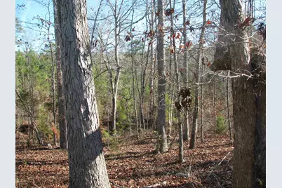 0 Buckhead Rd., Blair, SC 29015 - Photo 21