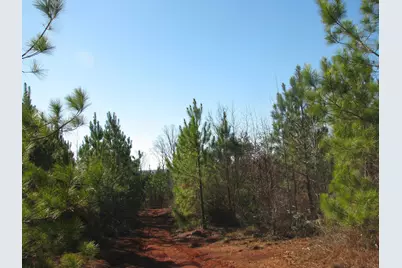 0 Buckhead Rd., Blair, SC 29015 - Photo 29