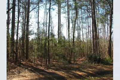 0 Buckhead Rd., Blair, SC 29015 - Photo 25