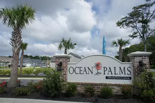 215 Lifestyle Ct, Surfside Beach, SC 29575 - Photo 5