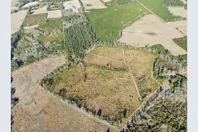 Tbd Witherspoon Rd., Kingstree, SC 29556 - Photo 5