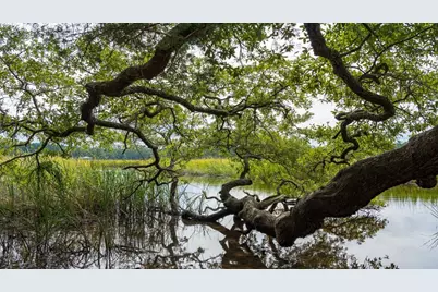 310 Ridley St, Longs, SC 29568 - Photo 31