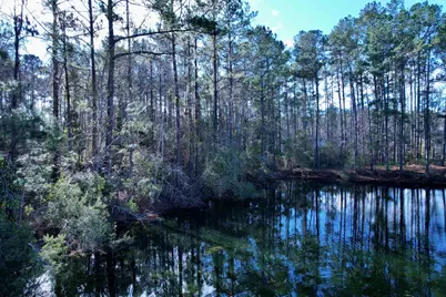 10 Lots - Dragooon Ct., Georgetown, SC 29440 - Photo 9