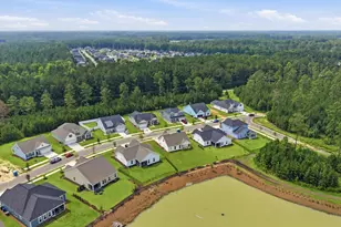 4111 Collins Farm Wy, Conway, SC 29526 - Photo 41