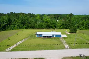 445 W Willow Pond Rd, Johnsonville, SC 29555 - Photo 23