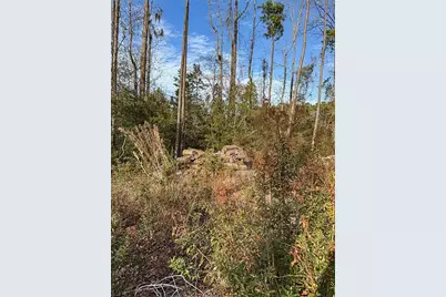 Tbd Bucksville Dr., Conway, SC 29527 - Photo 5