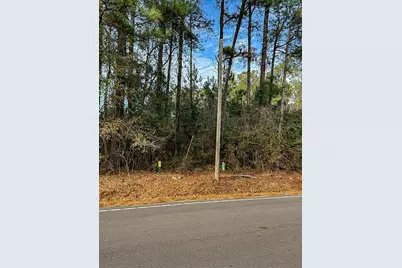 Tbd Bucksville Dr., Conway, SC 29527 - Photo 7