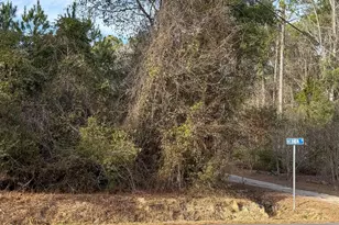 Tbd Bucksville Dr, Conway, SC 29527 - Photo 1