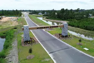 5066 Yellowstone Dr, Conway, SC 29526 - Photo 35