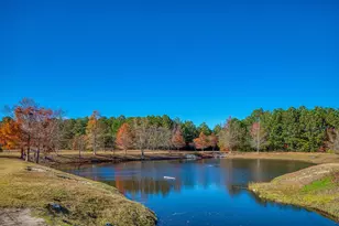 205 Threshing Way, Myrtle Beach, SC 29579 - Photo 39